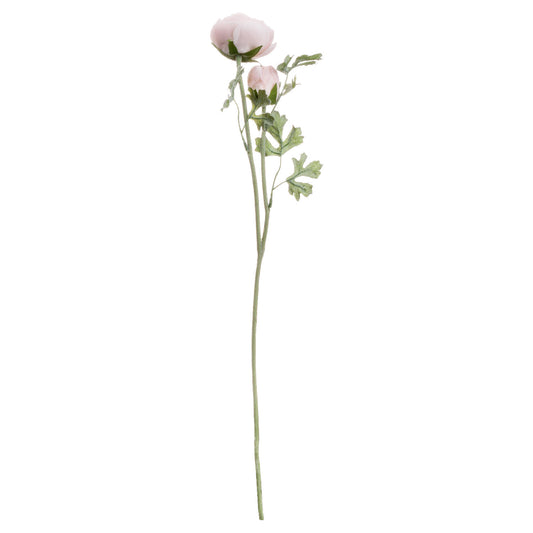 Delicate pastel pink ranunculus flowers with layered petals and realistic foliage, perfect for elegant decor and gifting.