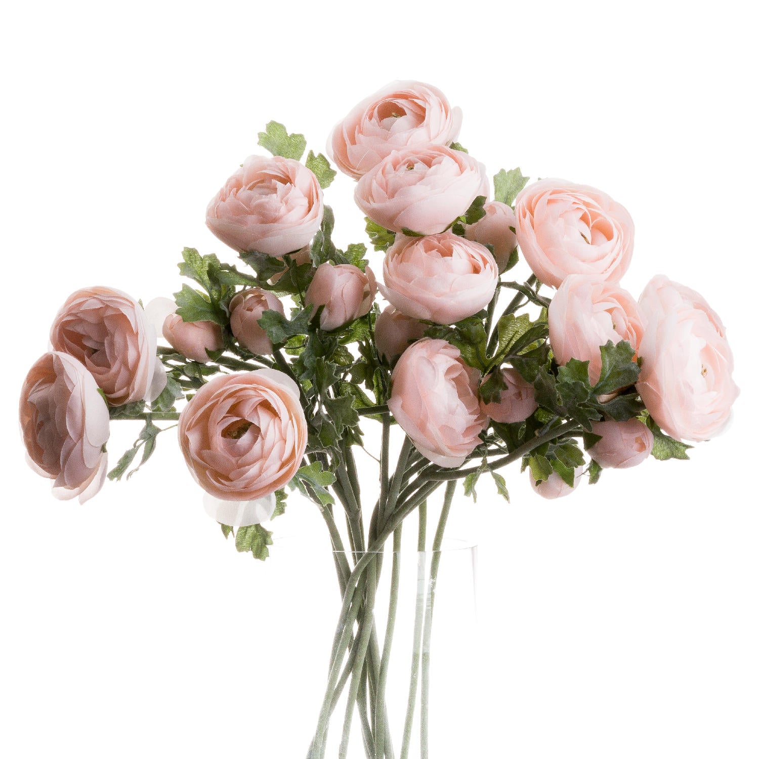 Pastel pink ranunculus flowers with delicate petals and lush green foliage, perfect for elegant home decor or gifting.