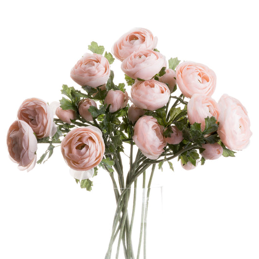 Pastel Pink Ranunculus - Spring Stems from the Quanta Home collection.