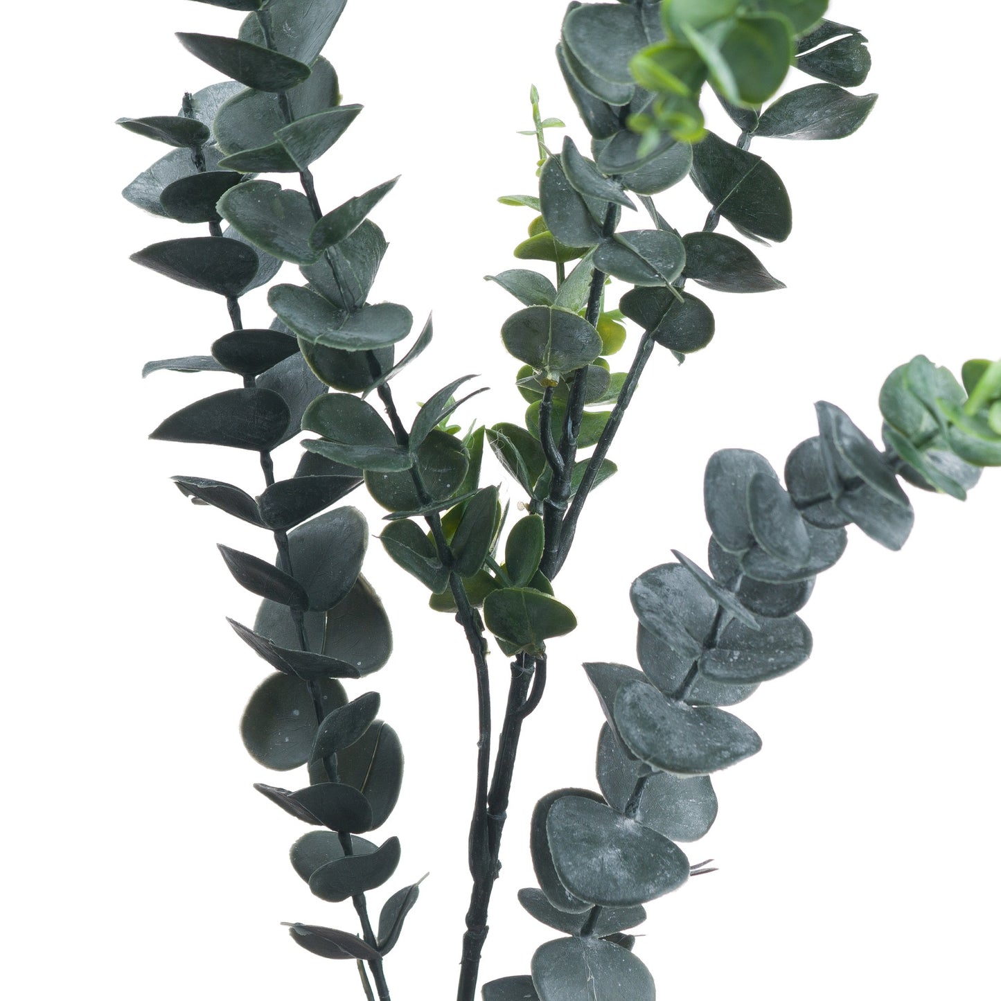 Silver Dollar Eucalyptus - All Artificial Flowers from the Quanta Home collection.