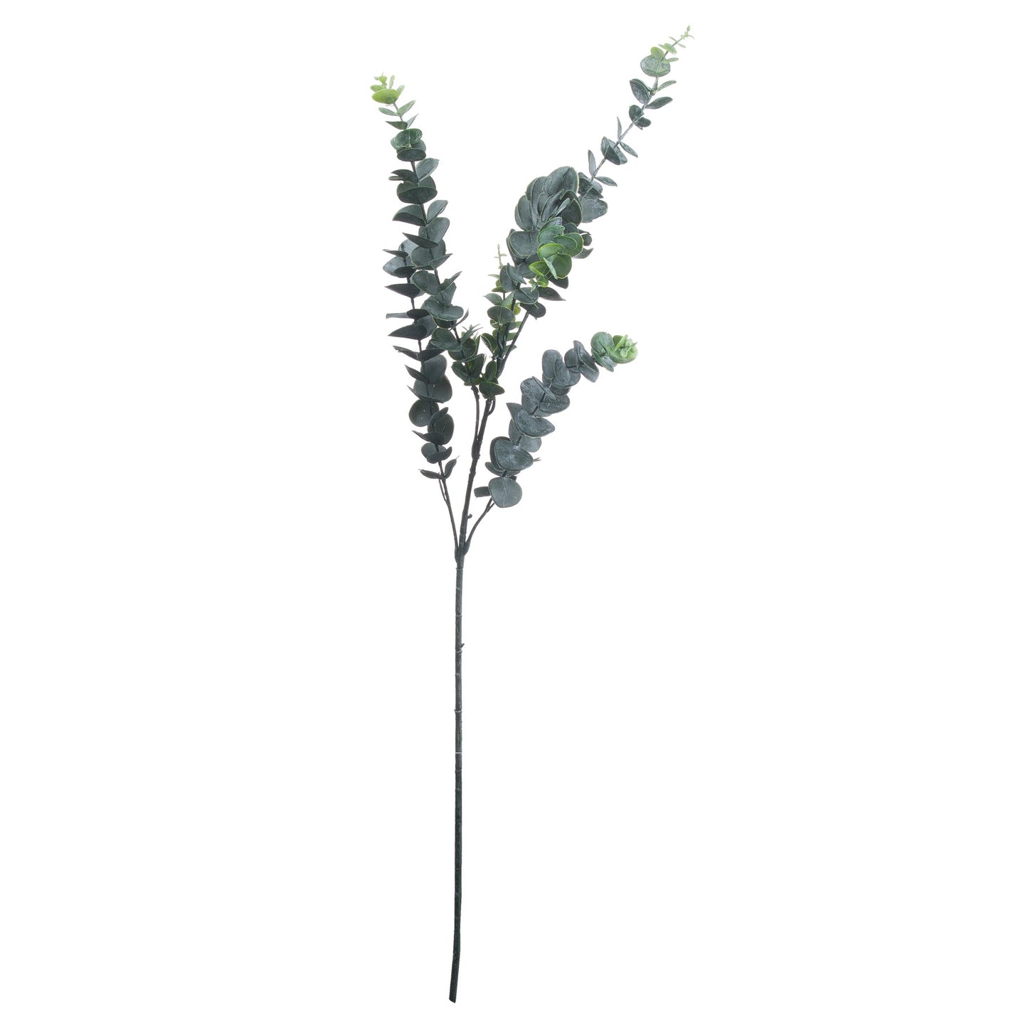 Silver Dollar Eucalyptus - All Artificial Flowers from the Quanta Home collection.