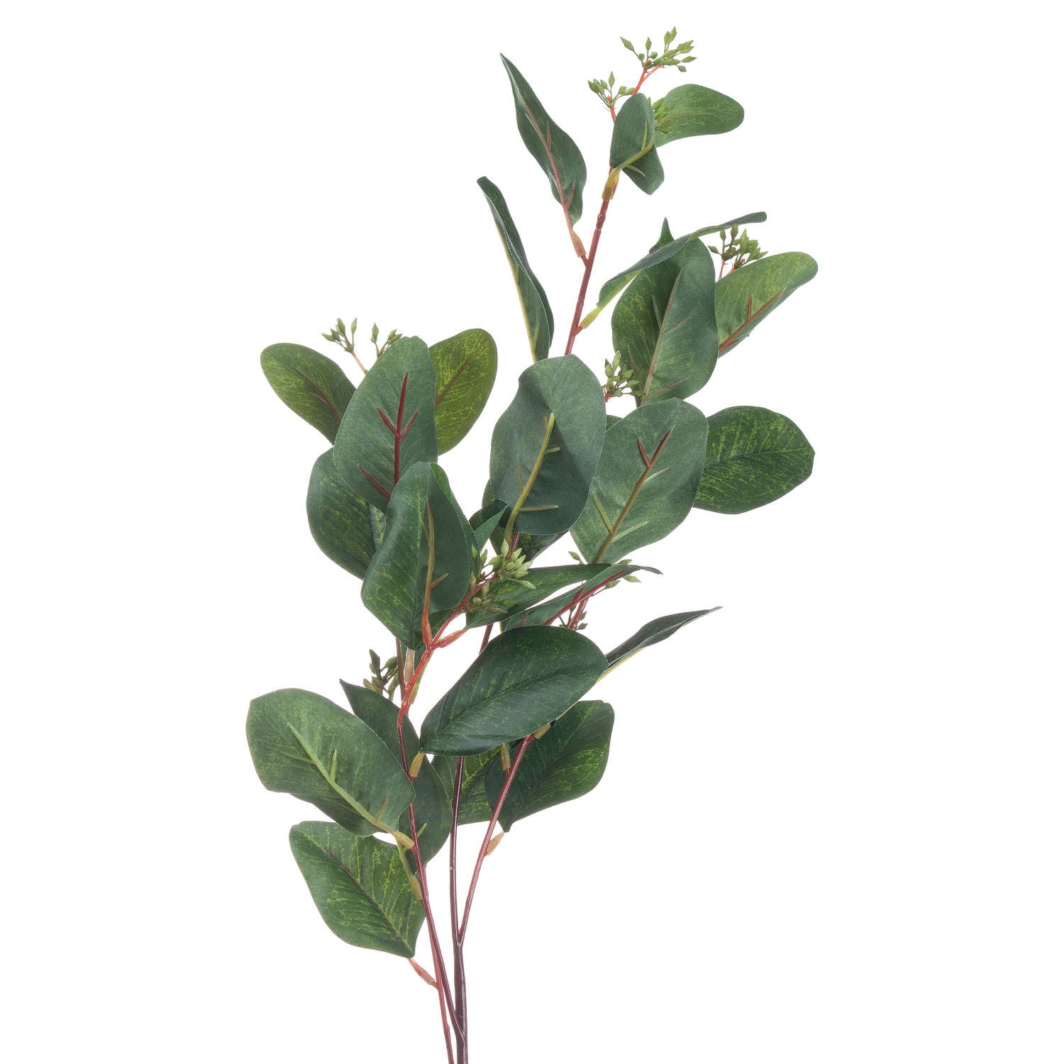 Summer Seeded Eucalyptus - All Artificial Flowers from the Quanta Home collection.