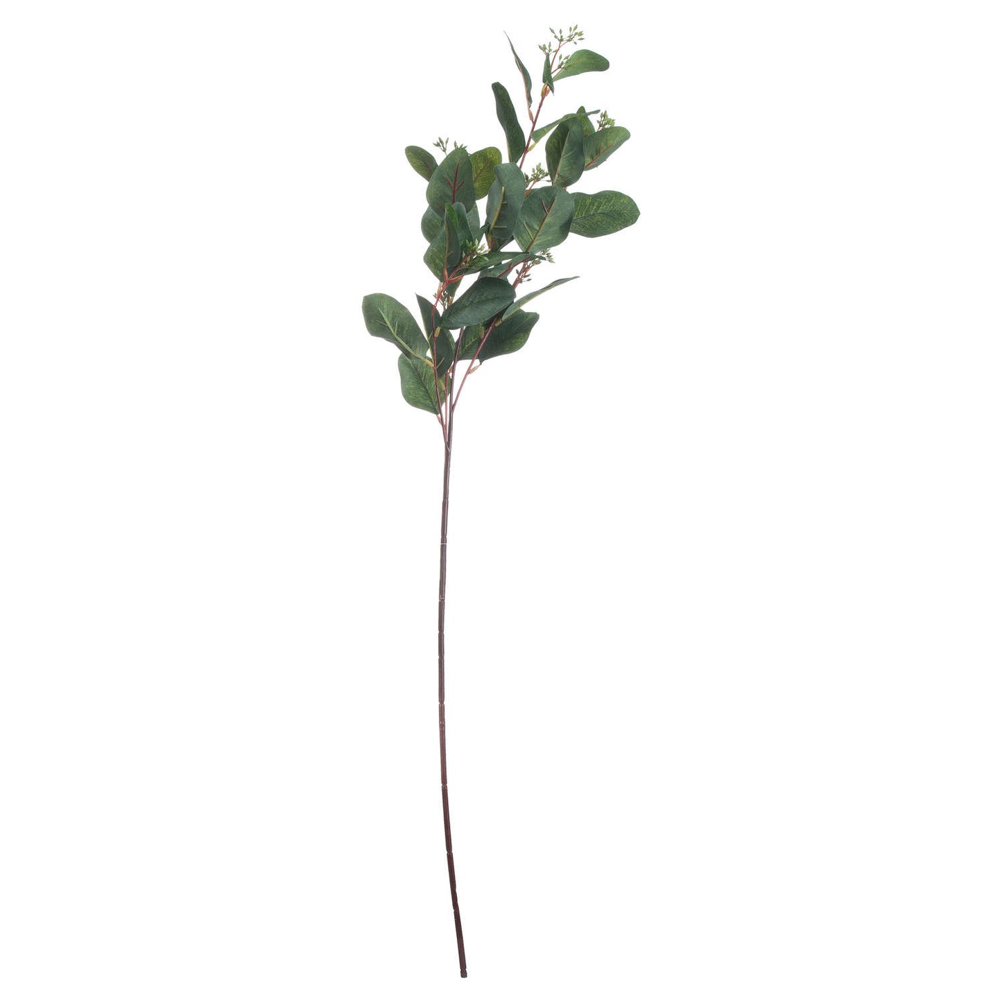 Summer Seeded Eucalyptus - All Artificial Flowers from the Quanta Home collection.