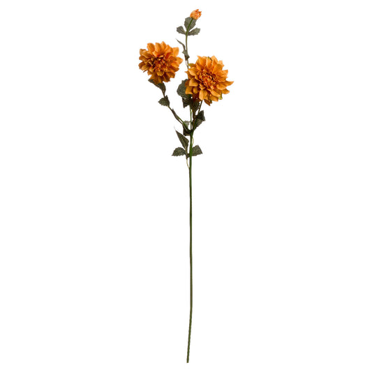Vibrant orange dahlia spray with two layered blooms and green leaves, ideal for autumn decor and long-lasting arrangements.