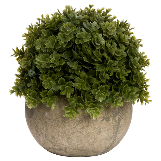 Miniature Hebe Veronica In Pot - All Artificial Flowers from the Quanta Home collection.