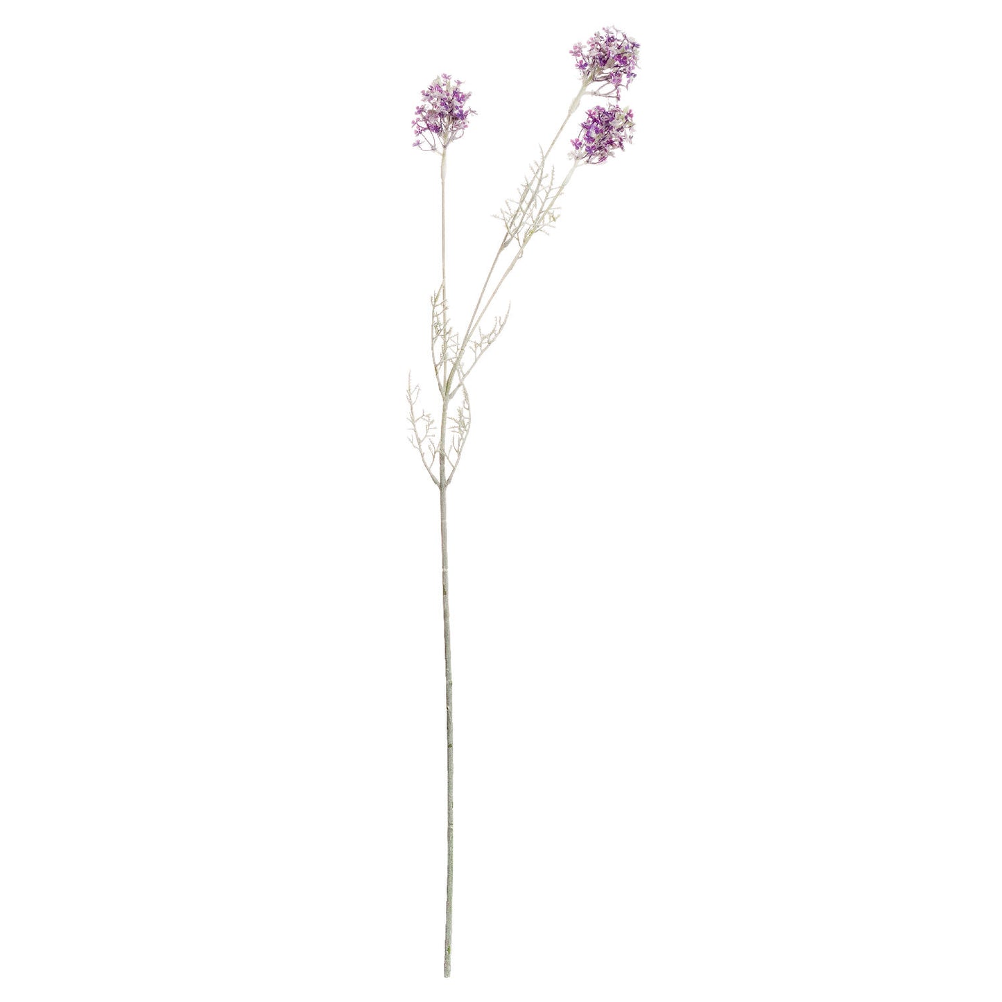 Delicate purple meadow flower stem with intricate blooms and subtle variegation, perfect for elegant home decor arrangements.