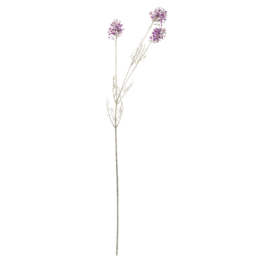 Delicate purple meadow flower stem with intricate blooms and subtle variegation, perfect for elegant home decor arrangements.