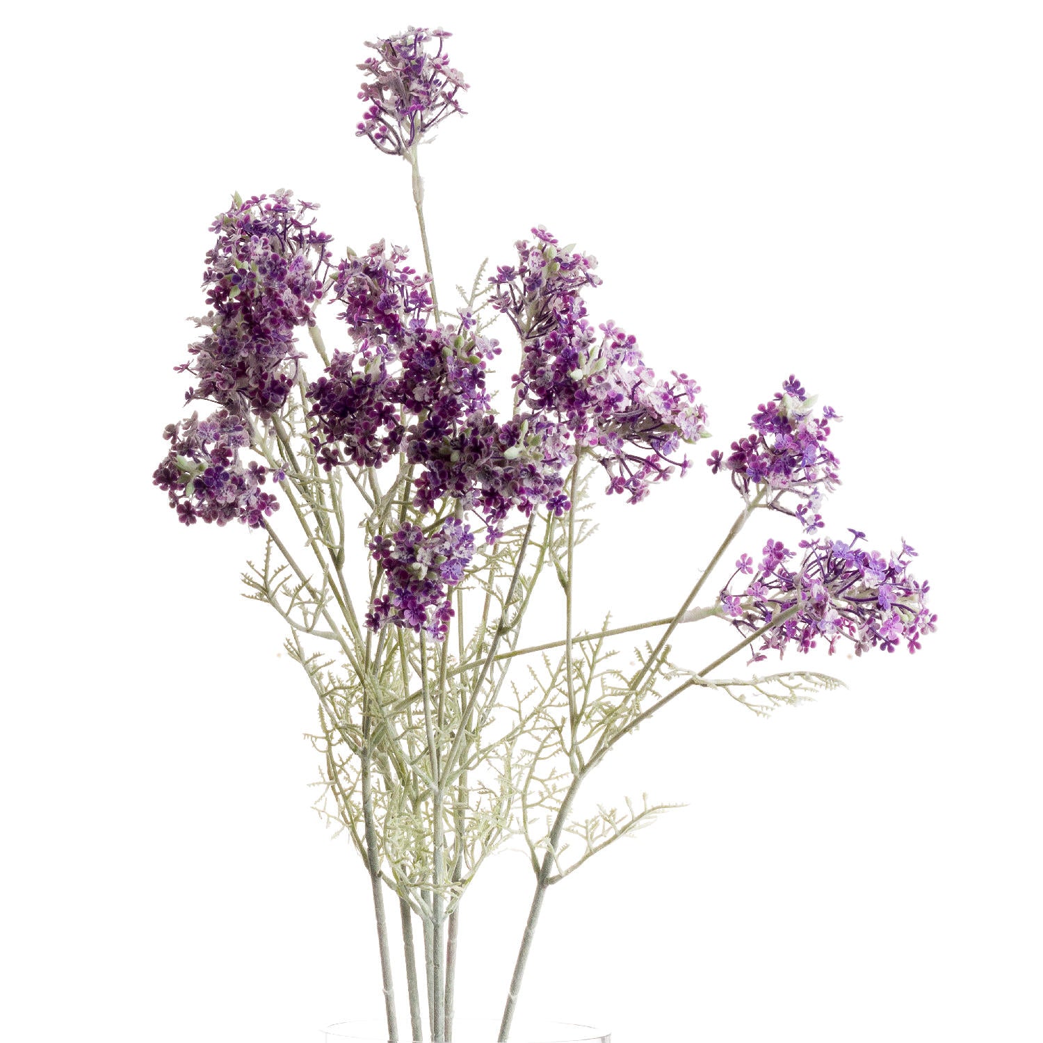 Delicate purple meadow flower stem with layered blooms and fine greenery, perfect for elegant, customizable arrangements.
