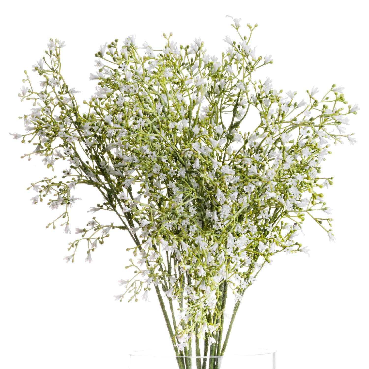 Delicate white gypsophila spray with intricate blooms, set against a bright background, perfect for minimalist decor.