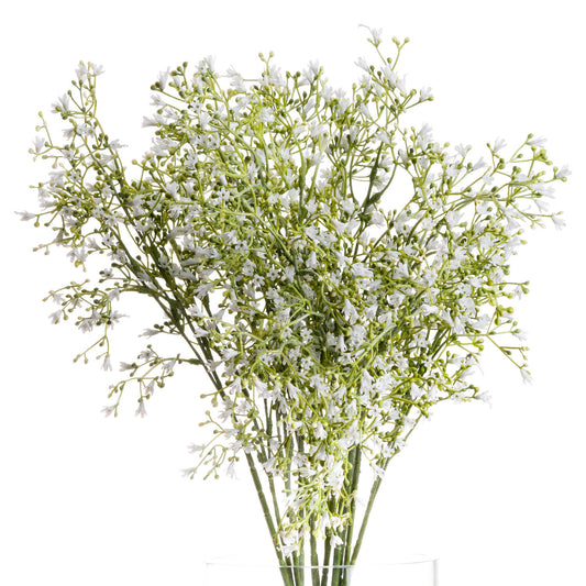 White Gypsophila Spray - Spring Stems from the Quanta Home collection.