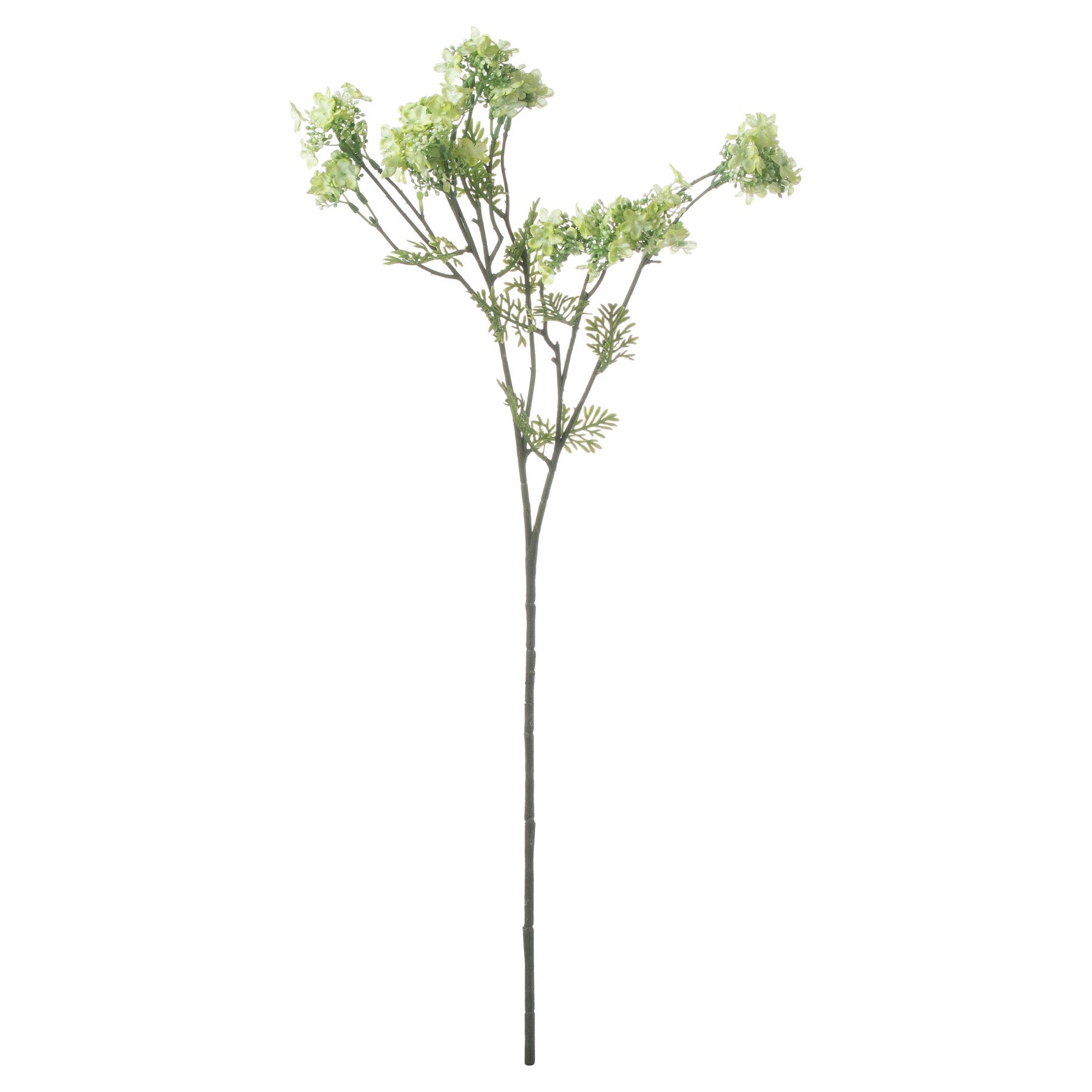 Vibrant green plum blossom spray with lifelike details on a tall stem, perfect for enhancing spring decor and floral arrangements.