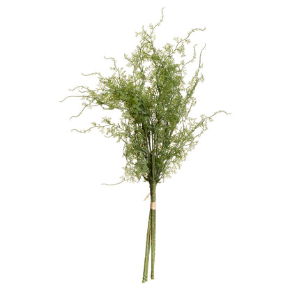 Asparagus Fern Bunch - Spring Stems from the Quanta Home collection.