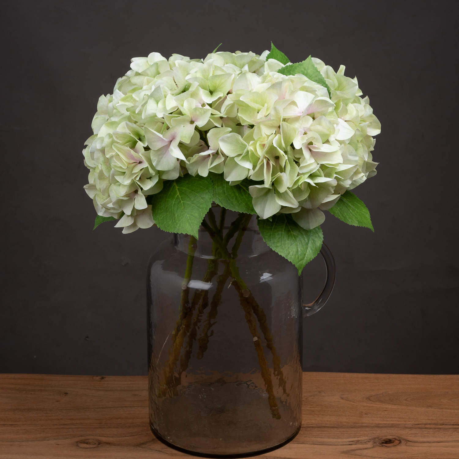 Realistic single green hydrangea bloom in a clear vase with thick stems, set against a dark background.