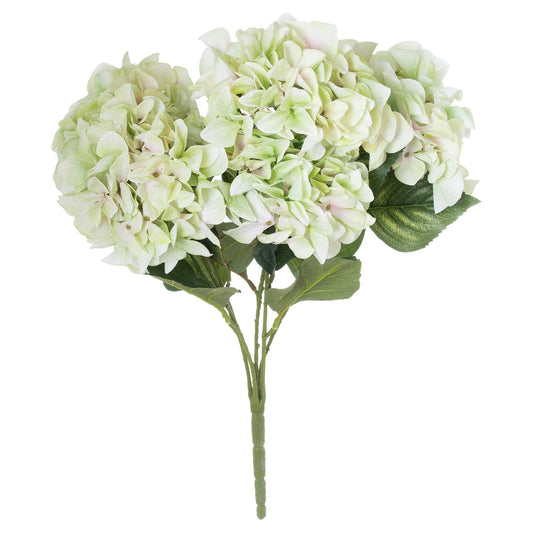 Voluminous green hydrangea bouquet with lush foliage, perfect for elegant decor and creating a sophisticated focal point.