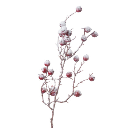 Large Red Festive Berry - Christmas Decorations from the Quanta Home collection.