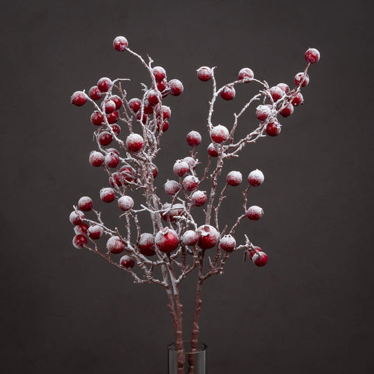 Large Red Festive Berry - Christmas Decorations from the Quanta Home collection.