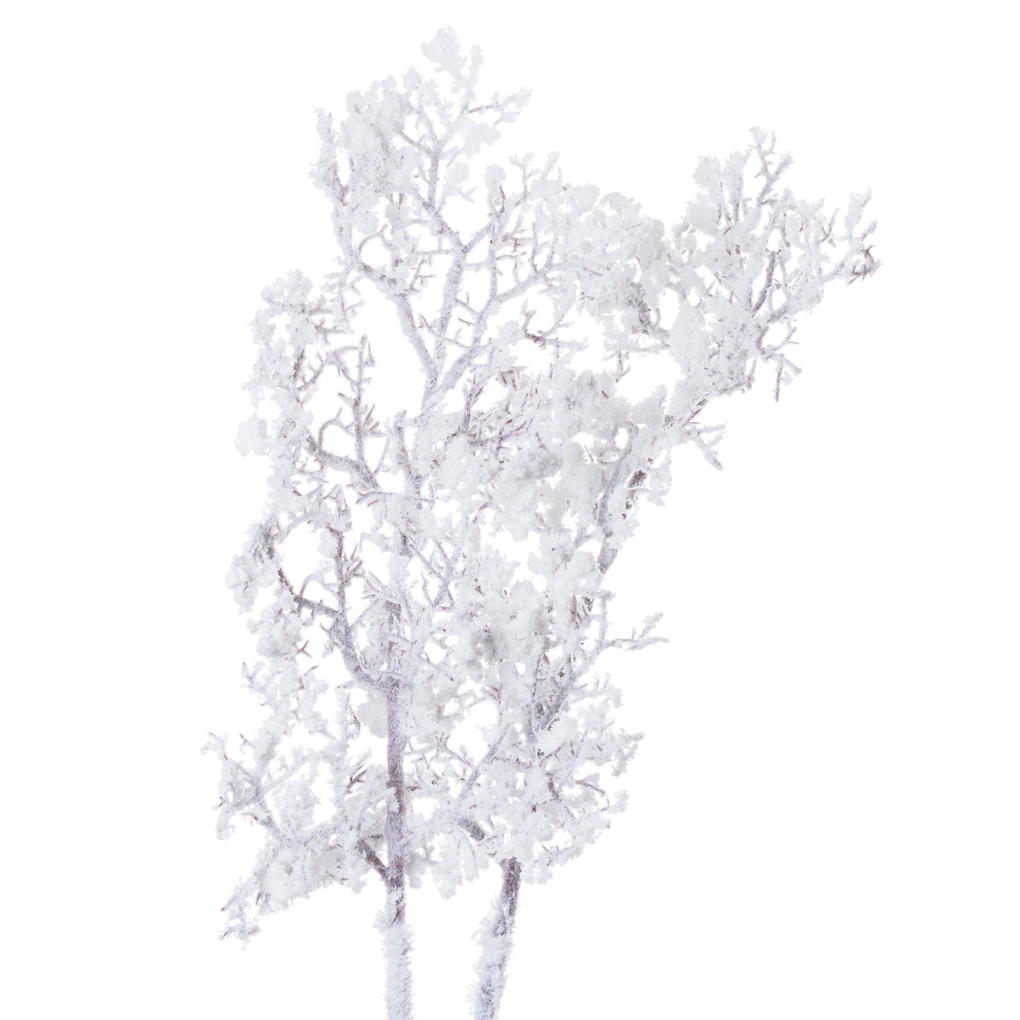 Snowy Branch - Festive Flowers & Foliage from the Quanta Home collection.