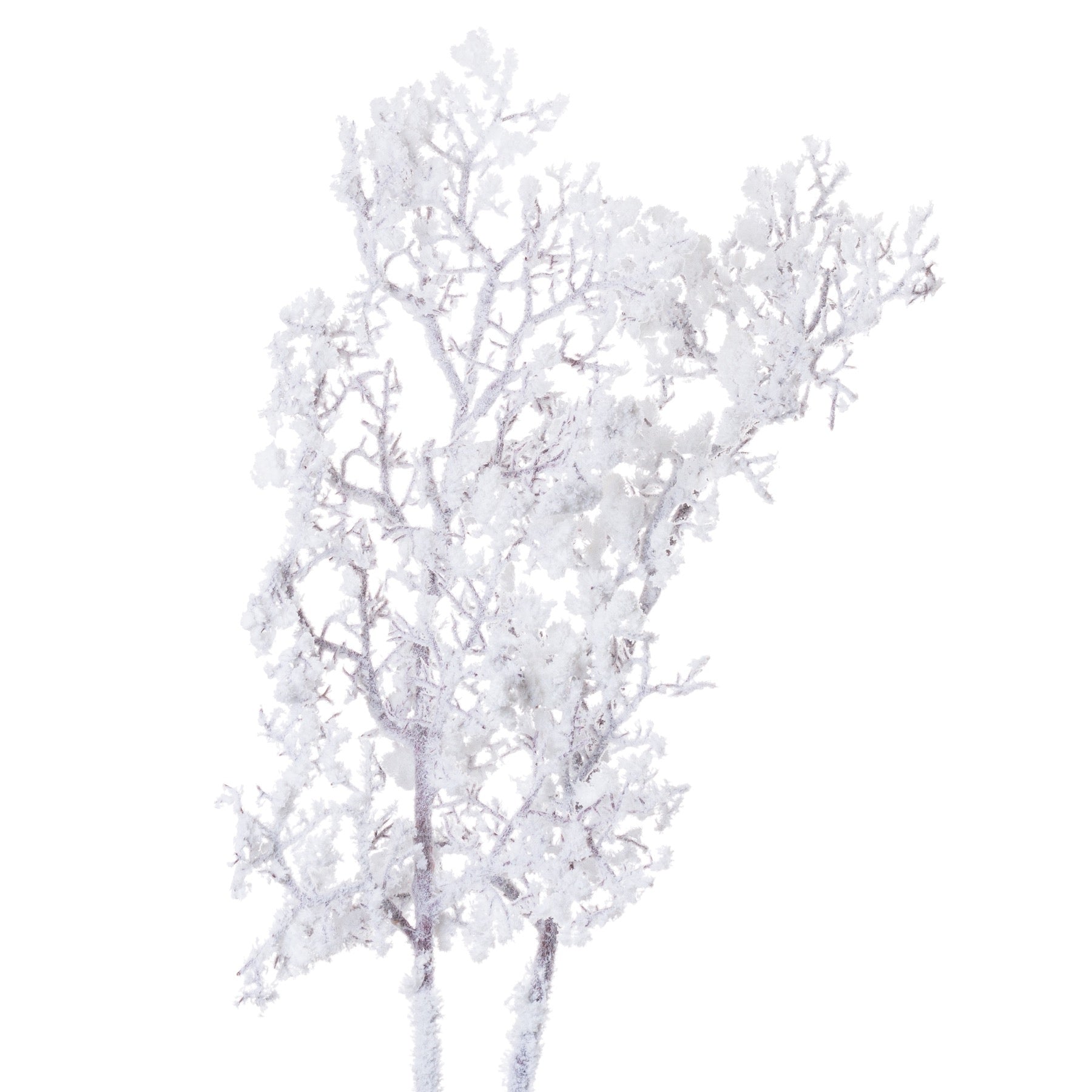 Snowy Branch - Festive Flowers & Foliage from the Quanta Home collection.