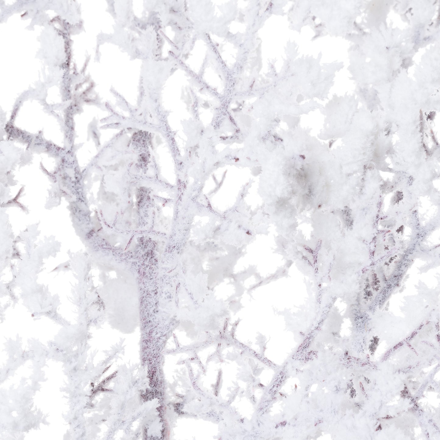 Snowy Branch - Festive Flowers & Foliage from the Quanta Home collection.