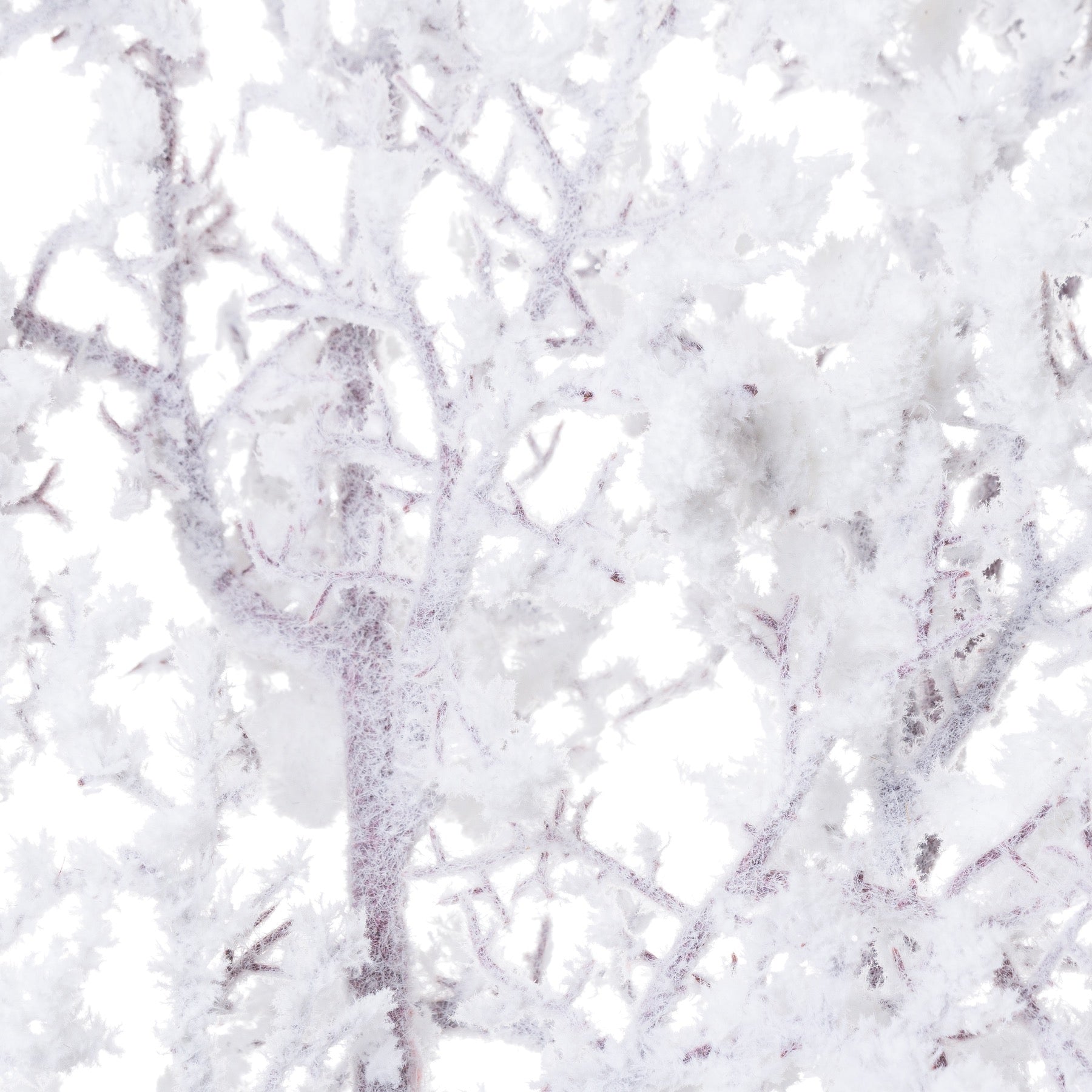 Snowy Branch - Festive Flowers & Foliage from the Quanta Home collection.
