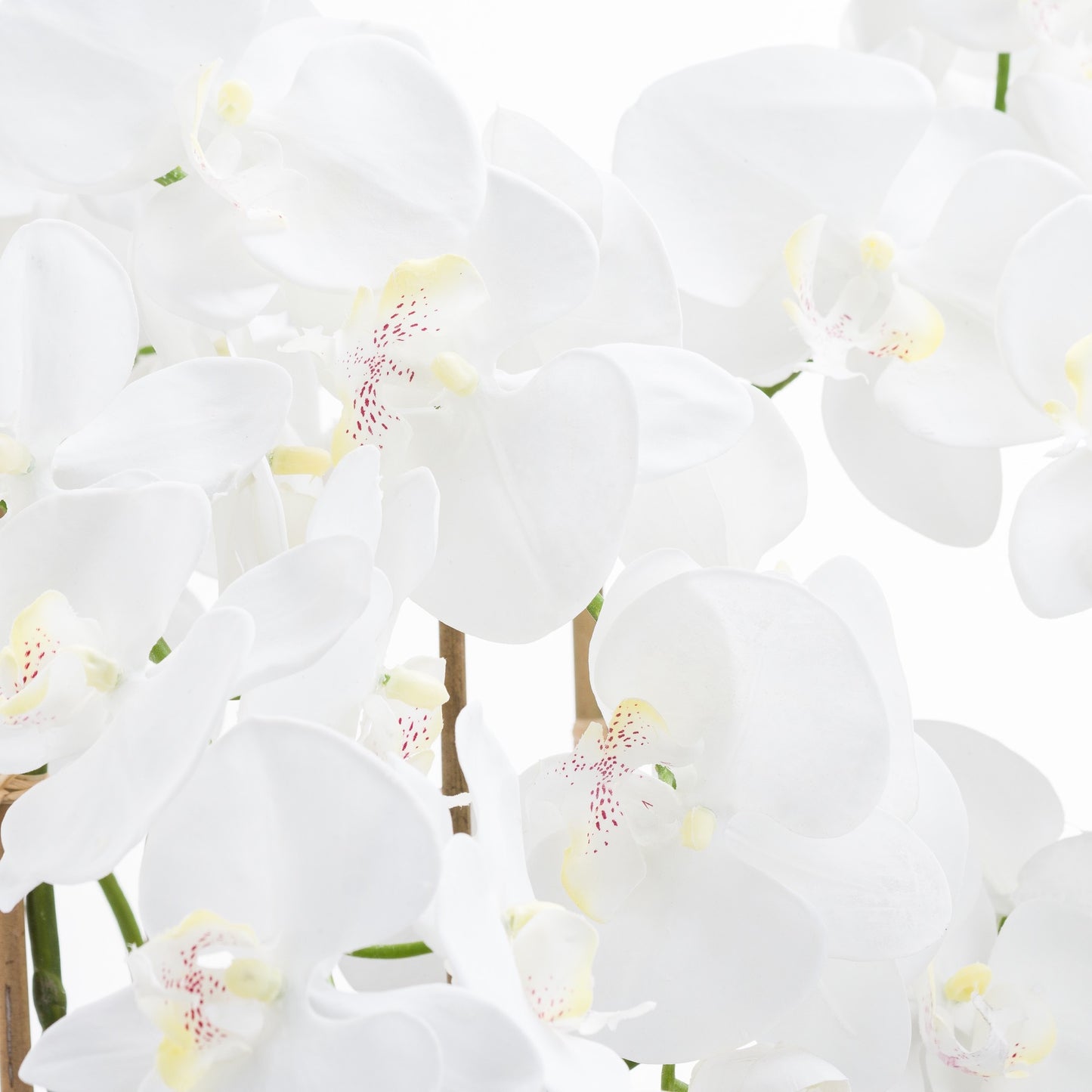 Large White Tall Orchid In Glass Pot - All Artificial Flowers from the Quanta Home collection.