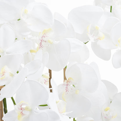 Large White Tall Orchid In Glass Pot - All Artificial Flowers from the Quanta Home collection.