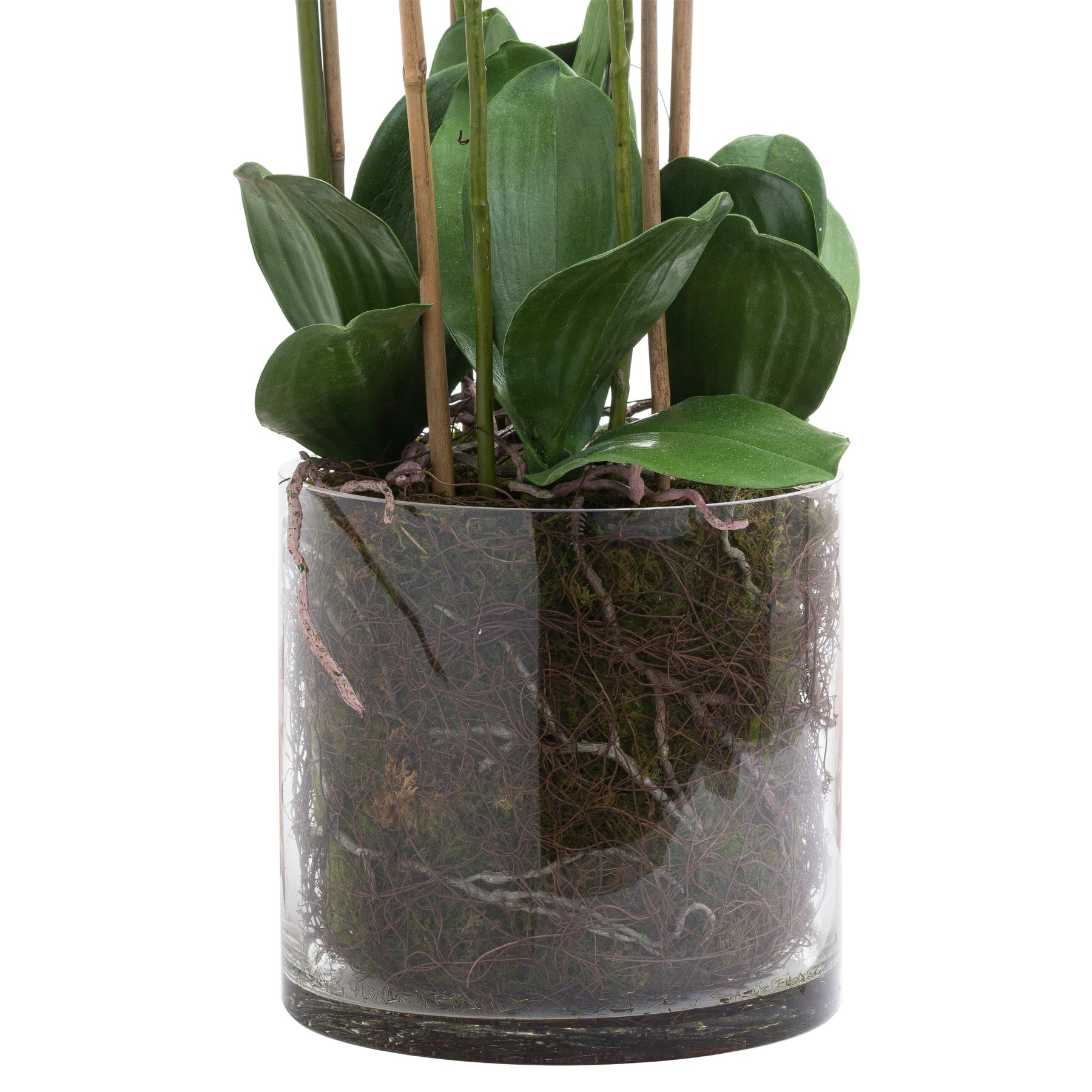 Large White Tall Orchid In Glass Pot - All Artificial Flowers from the Quanta Home collection.