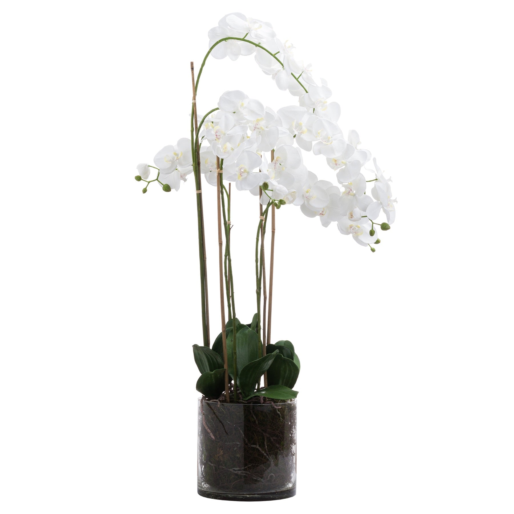 Large White Tall Orchid In Glass Pot - All Artificial Flowers from the Quanta Home collection.
