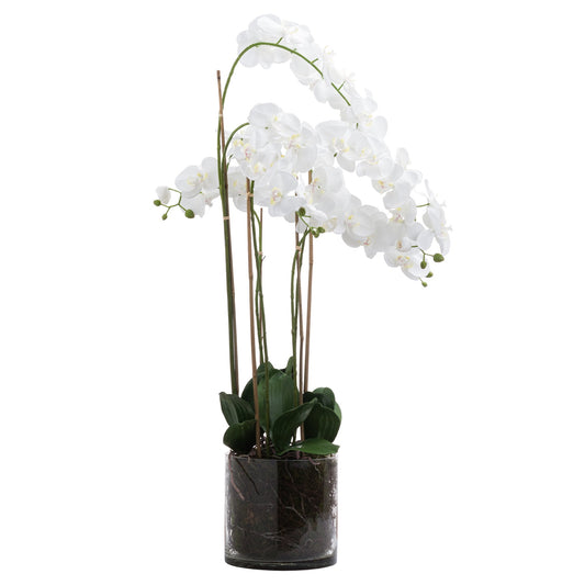 Large White Tall Orchid In Glass Pot - All Artificial Flowers from the Quanta Home collection.