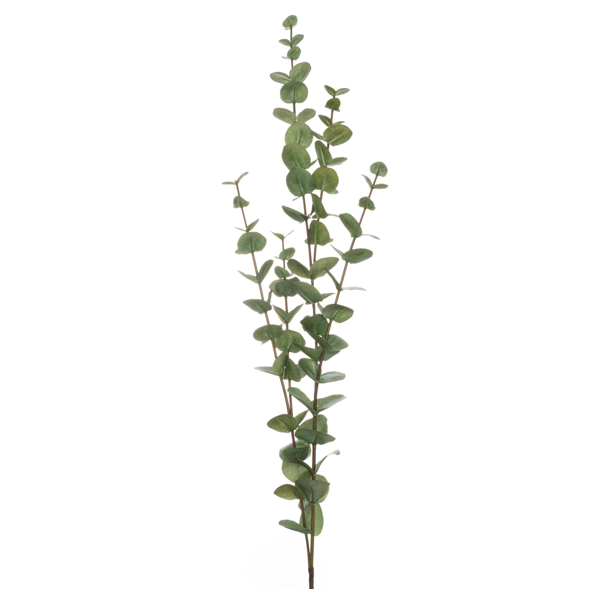 Large cineraria eucalyptus spray with realistic green leaves on a slender stem, perfect for elegant floral arrangements.