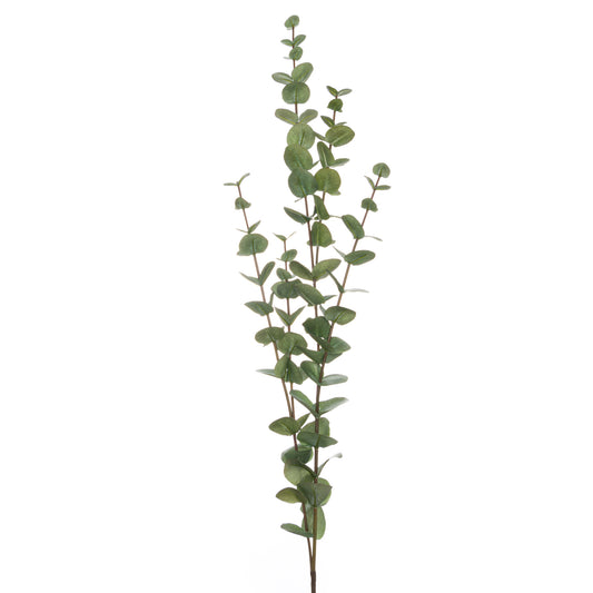 Large cineraria eucalyptus spray with realistic green leaves on a slender stem, perfect for elegant floral arrangements.