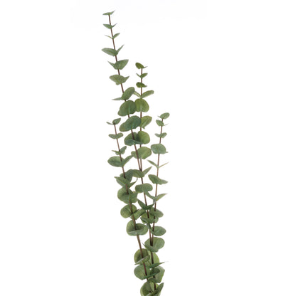 Large Cineraria Eucalyptus Spray - Single Stem Flowers from the Quanta Home collection.