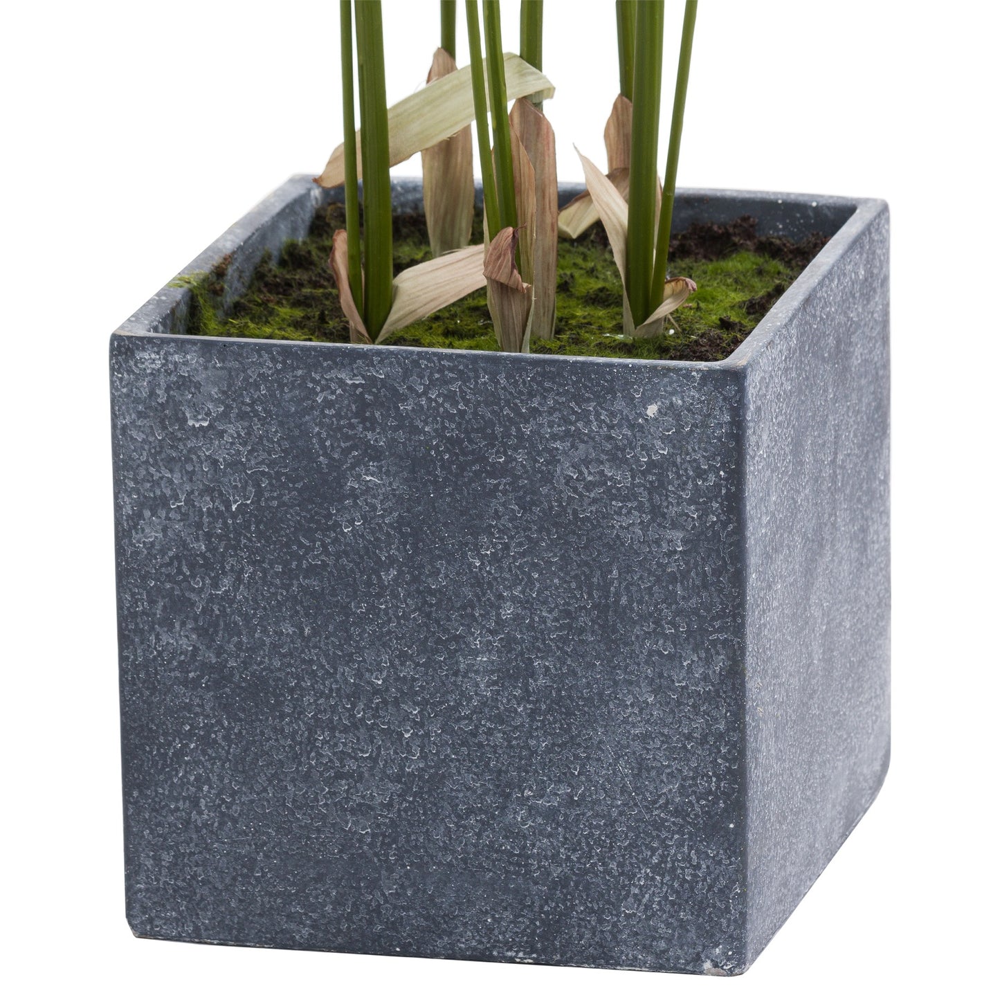Large Paradise Potted Palm - All Artificial Potted Plants from the Quanta Home collection.