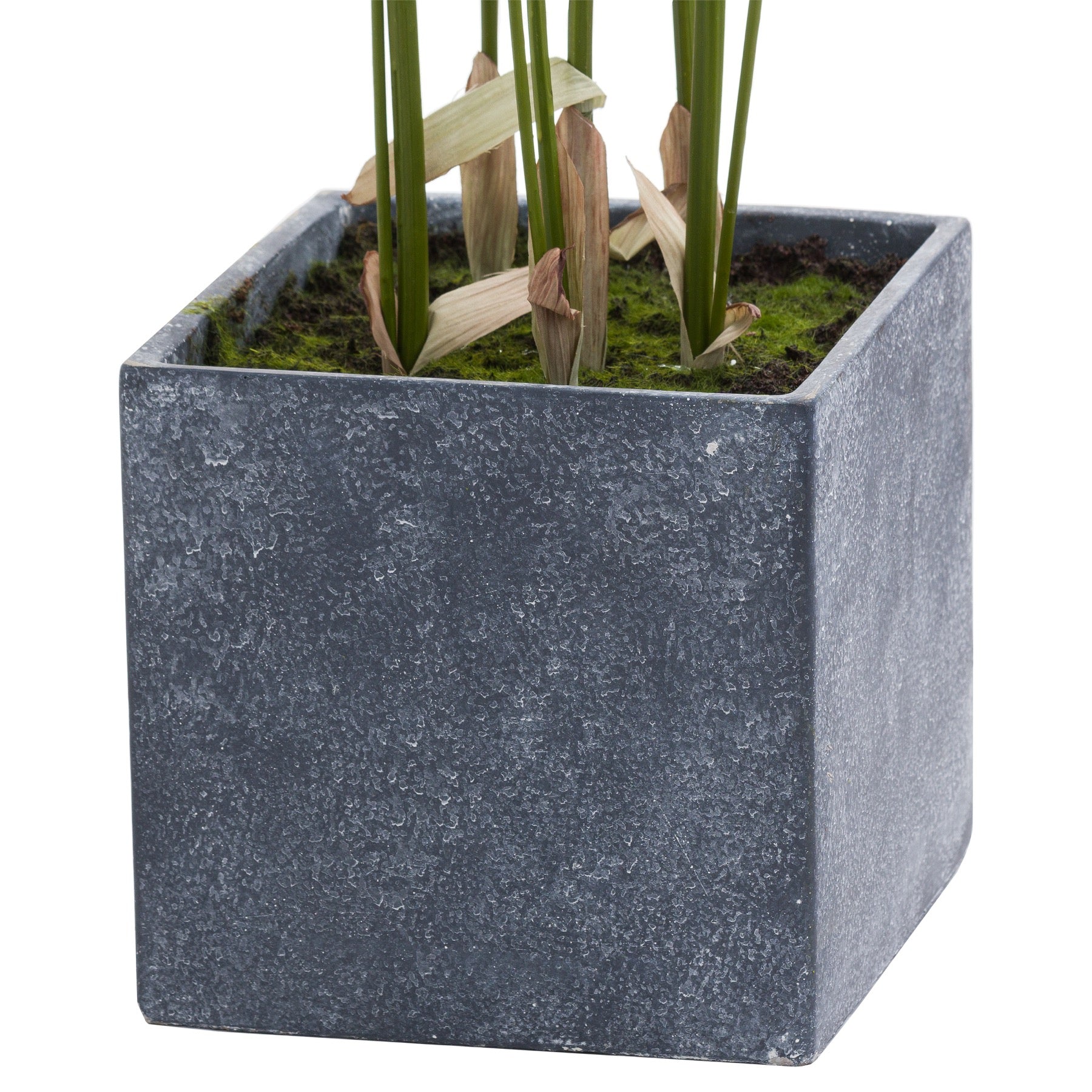 Large Paradise Potted Palm - All Artificial Potted Plants from the Quanta Home collection.