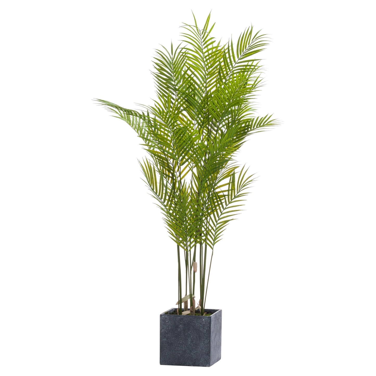 Large Paradise Potted Palm - All Artificial Potted Plants from the Quanta Home collection.