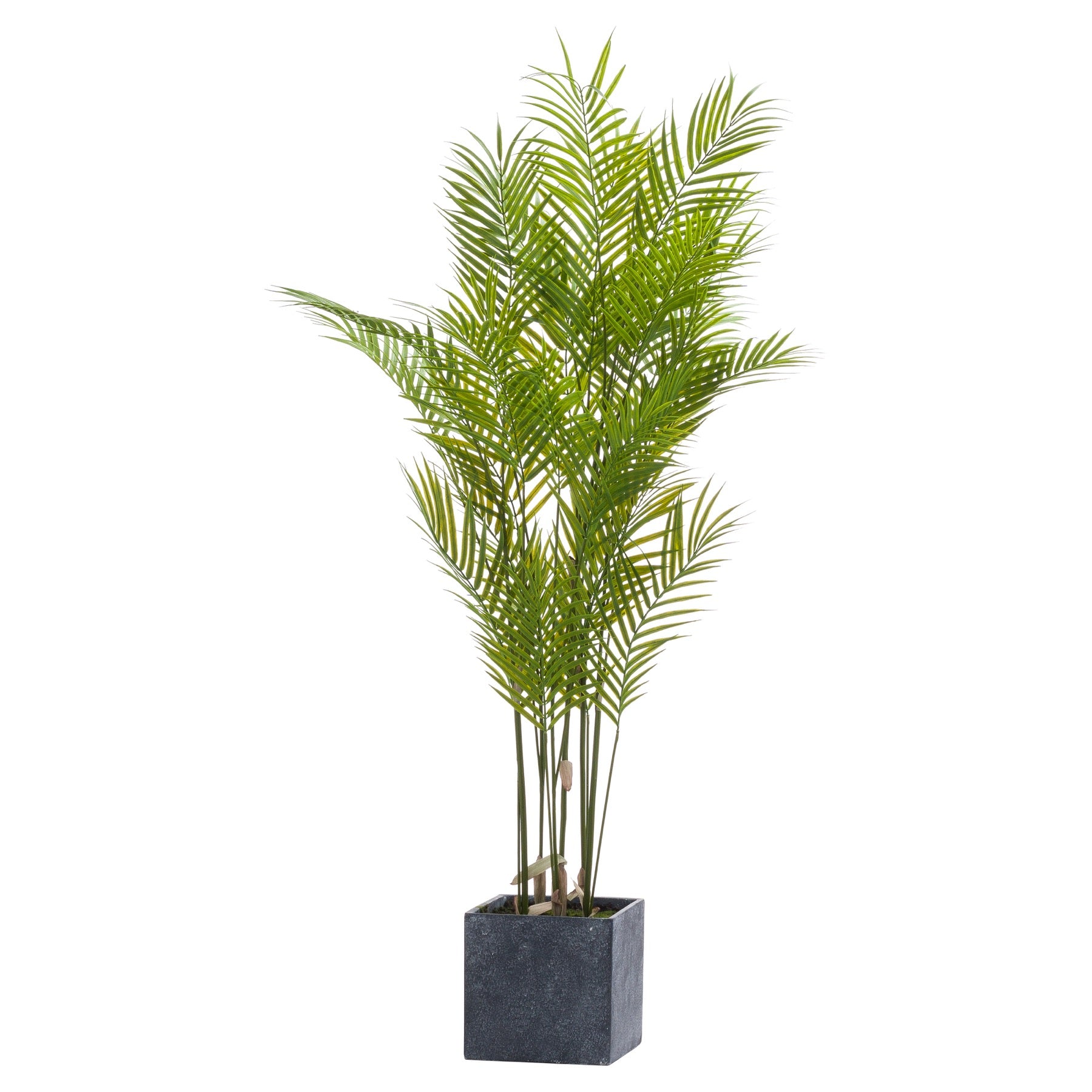 Large Paradise Potted Palm - All Artificial Potted Plants from the Quanta Home collection.