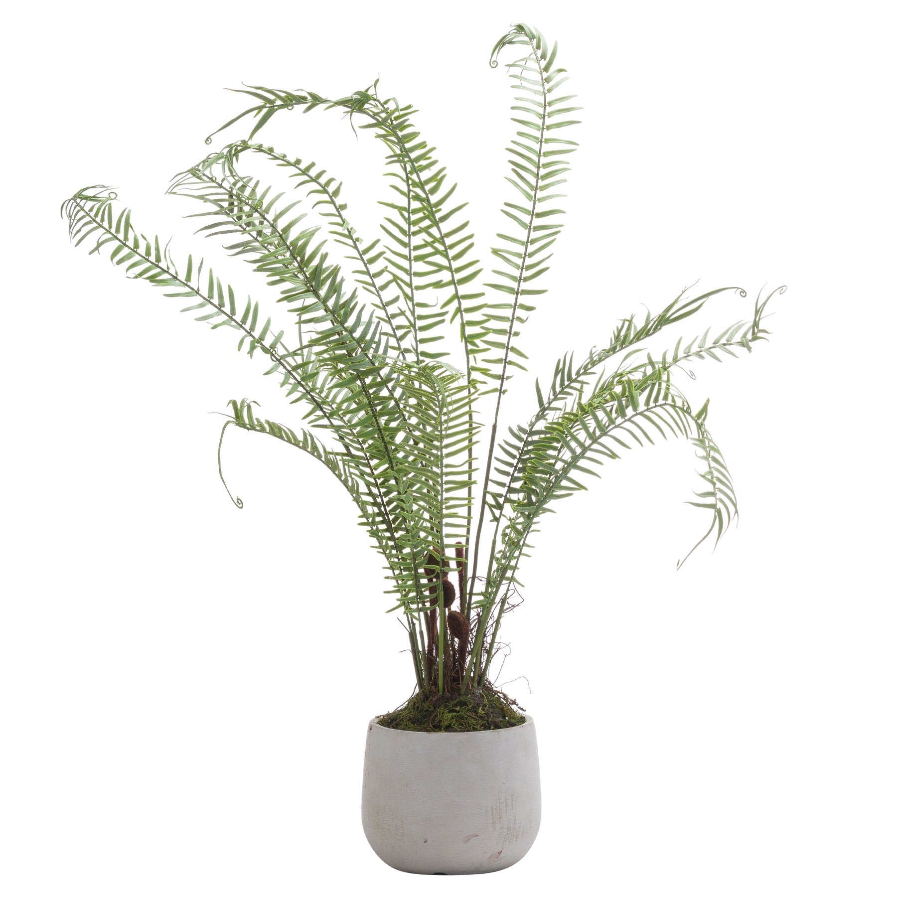 Boston Large Potted Fern - All Artificial Potted Plants from the Quanta Home collection.