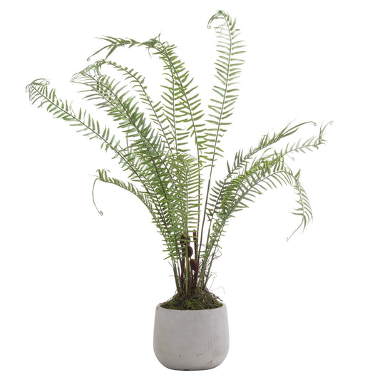 Boston Large Potted Fern - All Artificial Potted Plants from the Quanta Home collection.