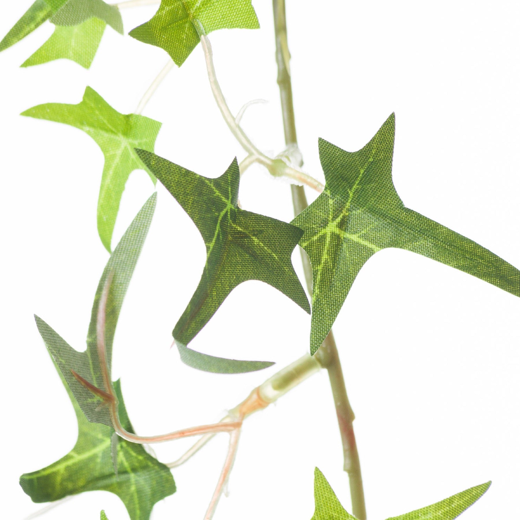 Small Ivy Garland - Christmas Wreaths & Garlands from the Quanta Home collection.