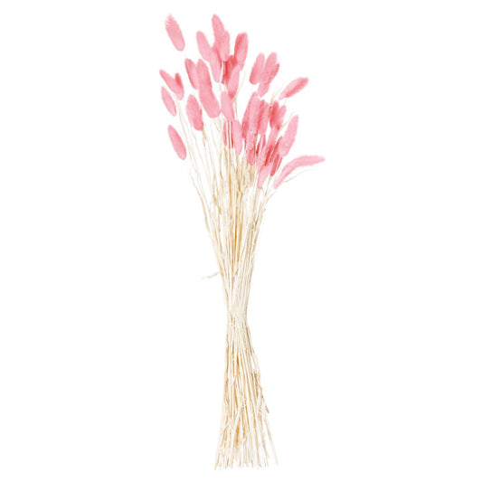 A bunch of 40 pale pink bunny tails with delicate, feathery textures, perfect for adding subtle elegance to any decor.
