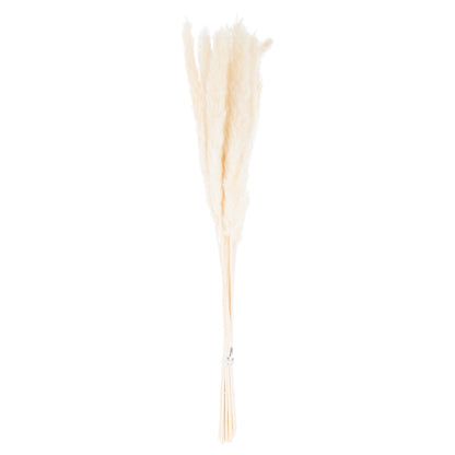 Mini White Pampas Grass Bunch Of 15 - Coastal Inspired from the Quanta Home collection.