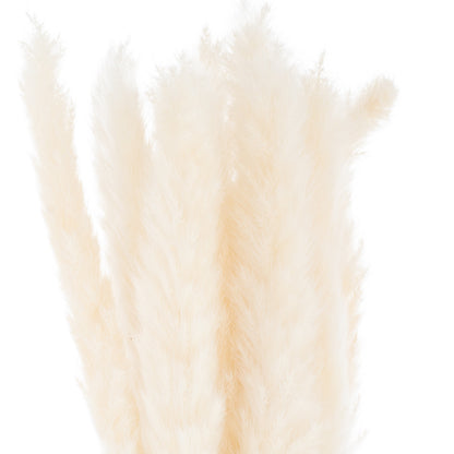 Mini White Pampas Grass Bunch Of 15 - Coastal Inspired from the Quanta Home collection.
