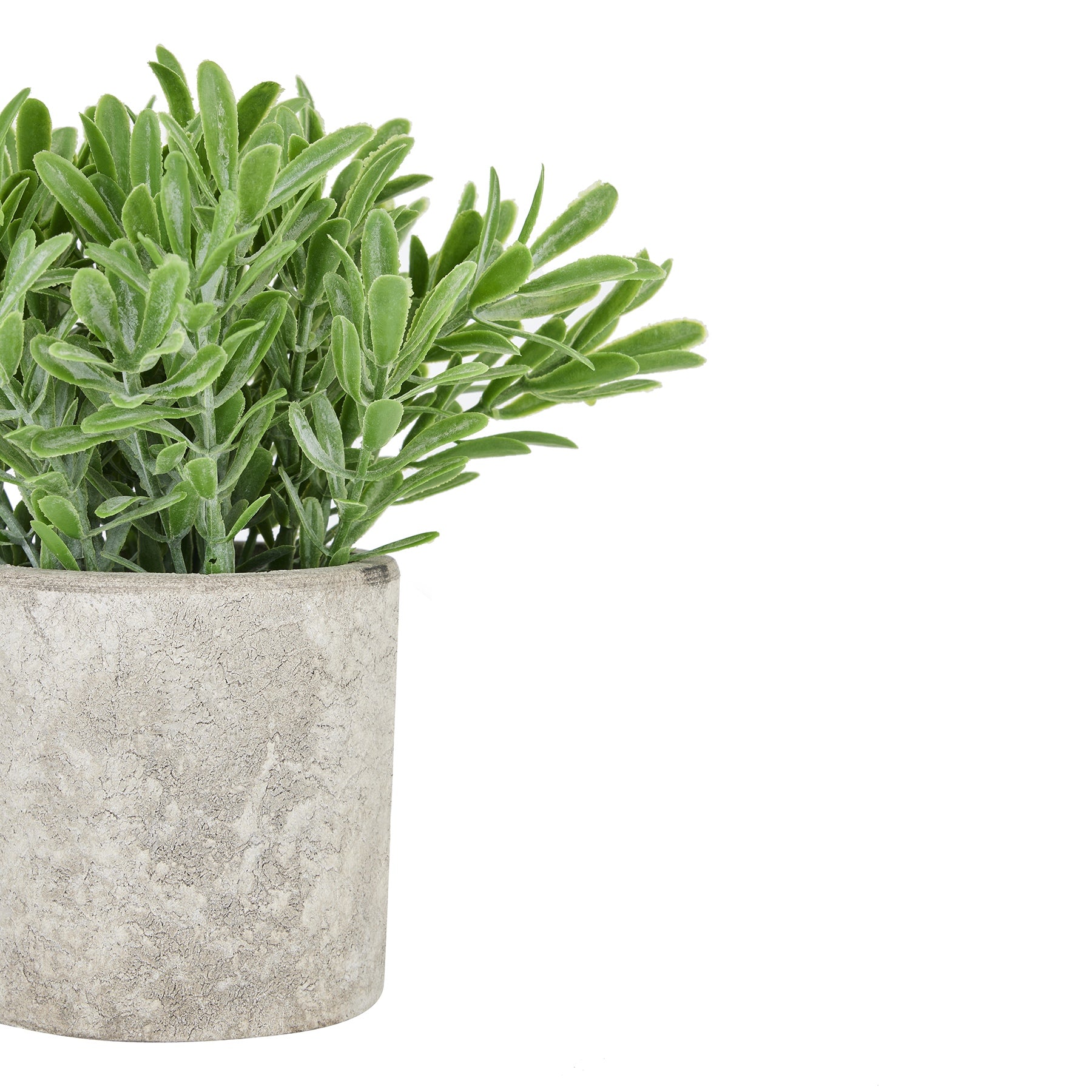 Lush green faux Buxus plant in a textured stone-effect pot, adding a touch of elegance to any décor. Perfect for low-maintenance beauty.