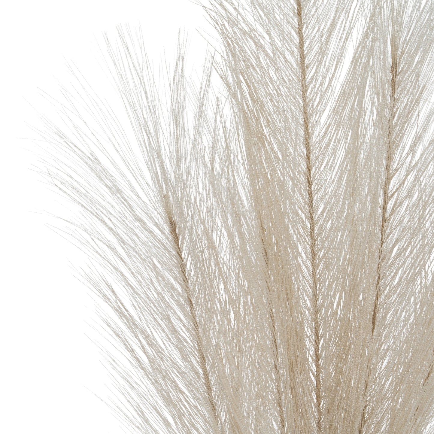 Bleached  Large Faux Pampas Grass Stem
