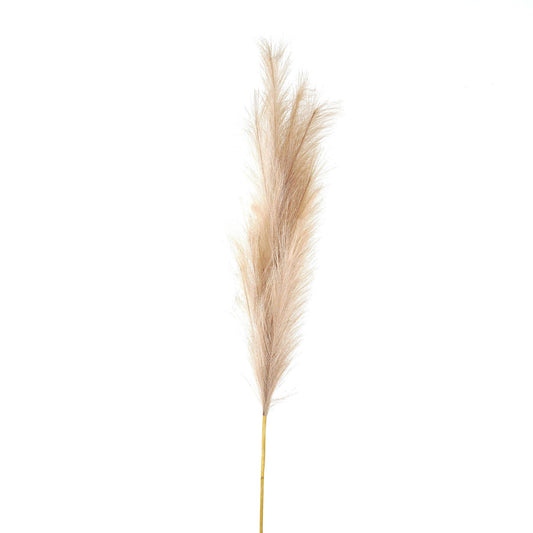 Bleached large faux pampas grass stem in white, featuring soft, airy plumes, ideal for elegant home decor and versatile arrangements.