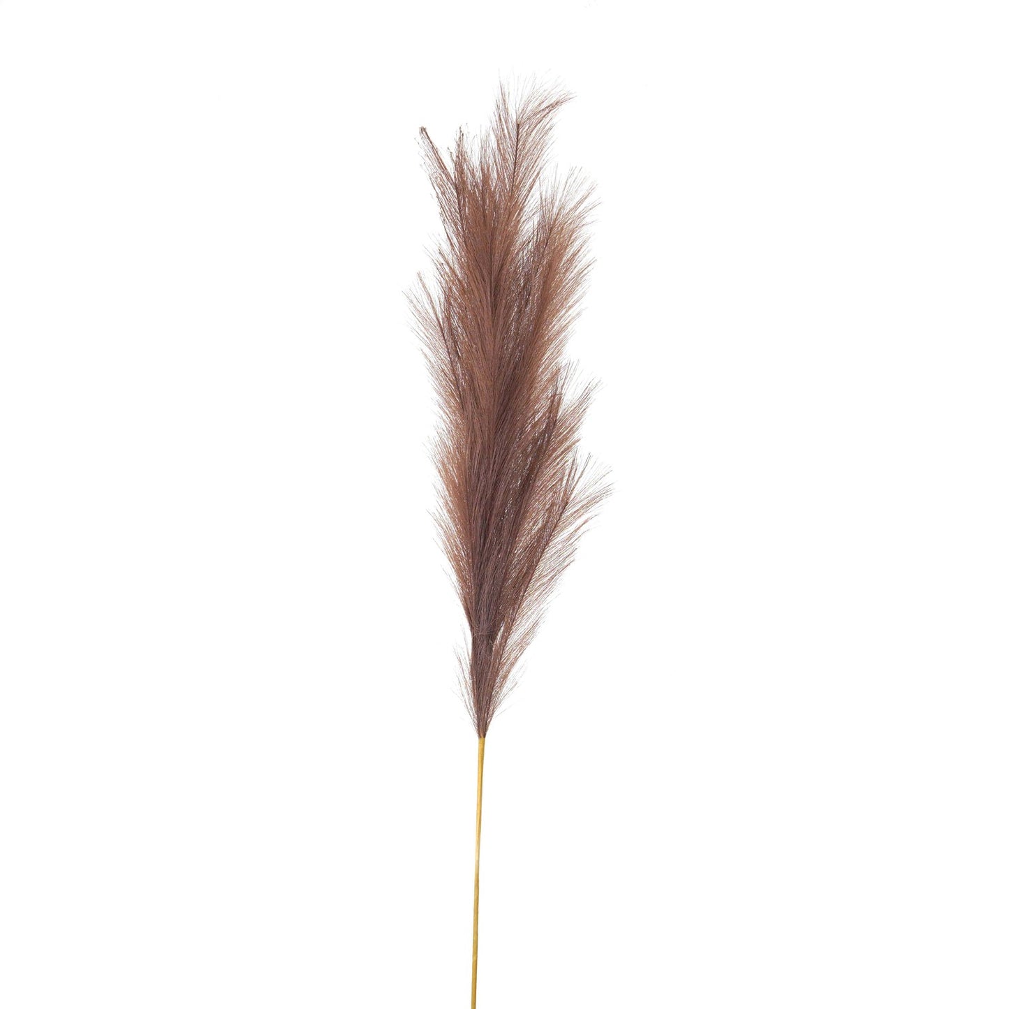 Taupe faux pampas grass stem with delicate, wispy textured fronds, set against a white background, adds elegant charm to decor.