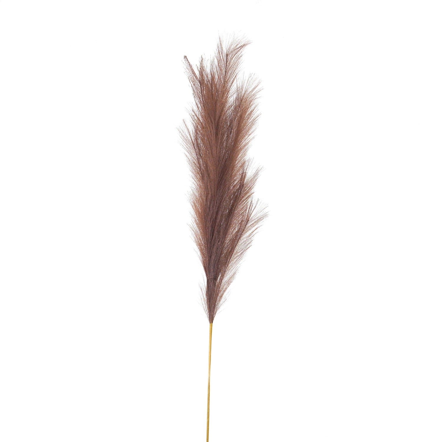 Taupe faux pampas grass stem with delicate, wispy textured fronds, set against a white background, adds elegant charm to decor.