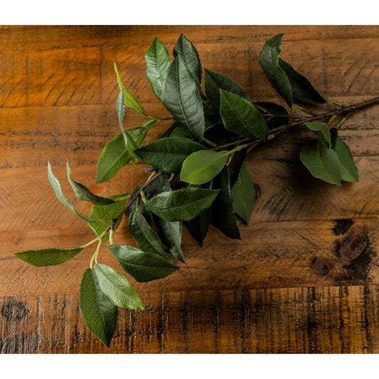 Lifelike laurel leaf spray in rich green hues, showcasing realistic textures and details on a wooden surface.