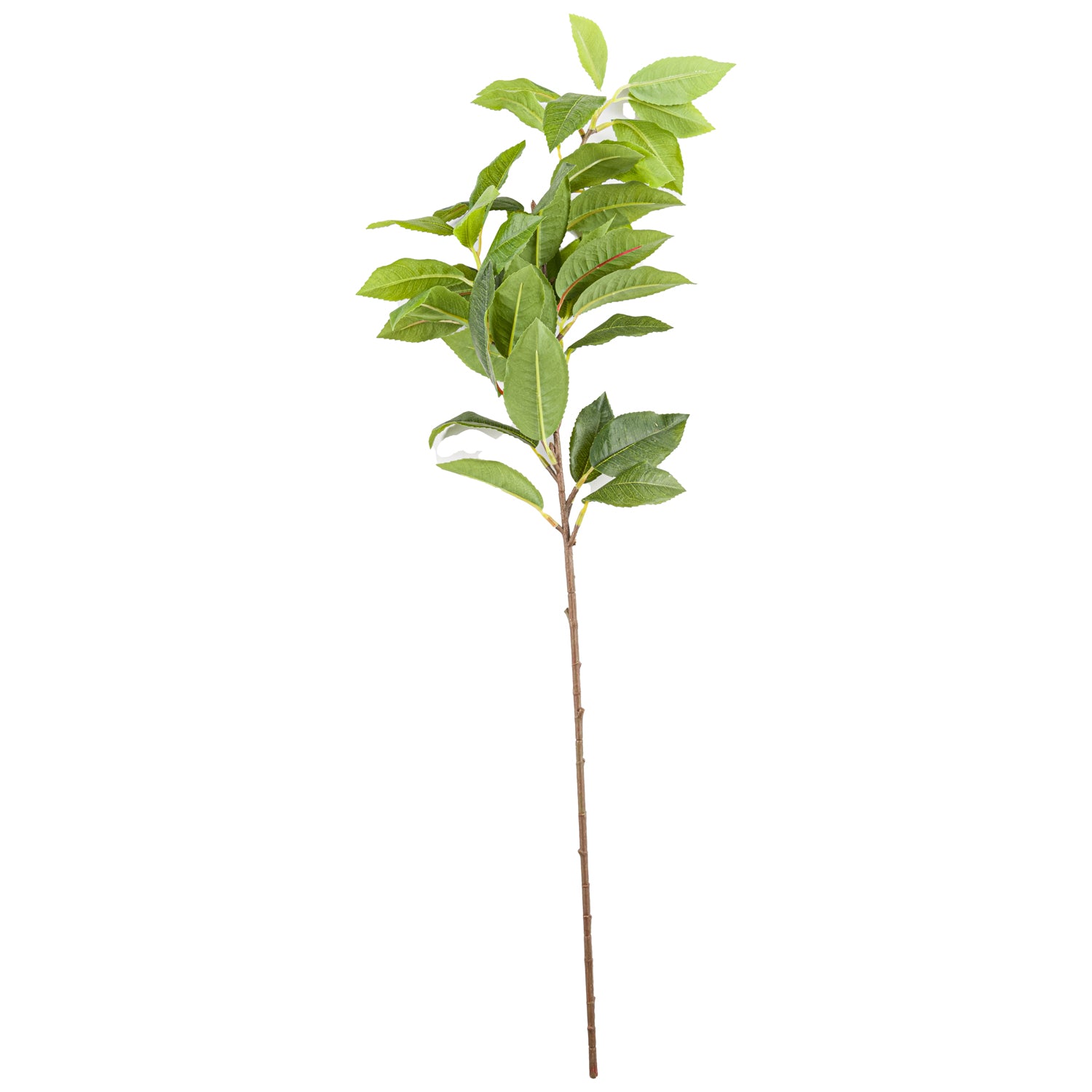 Lifelike green laurel leaf spray with meticulous detailing and realistic structure, perfect for sophisticated home decor arrangements.