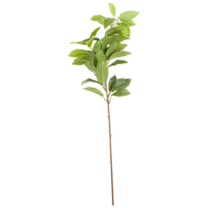 Laurel Leaf Spray - Single Stem Flowers from the Quanta Home collection.